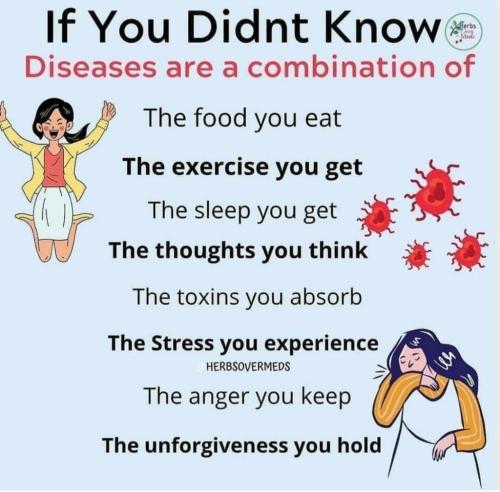 Screenshot_20211019-145152_Instagram