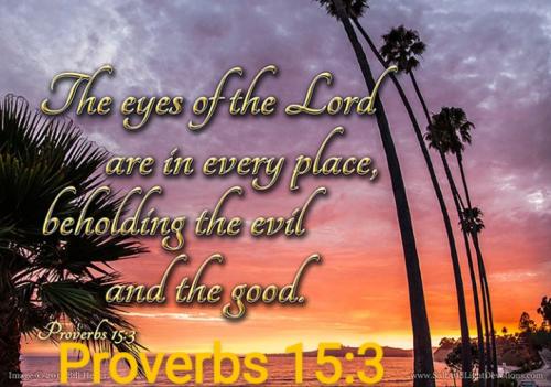 Screenshot_20211004-080538_DuckDuckGo~2