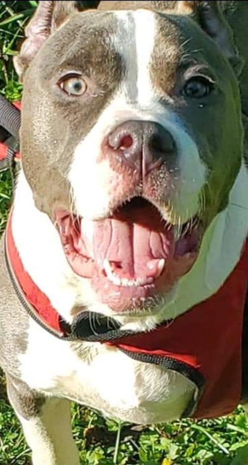 Screenshot_20211005-181357_Facebook