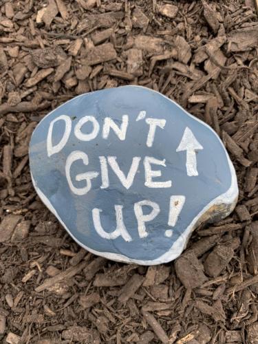 67748184-9534-4854-960E-6CB42920E712