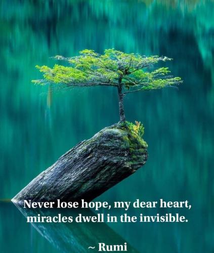 Miracles dwell in the invisible