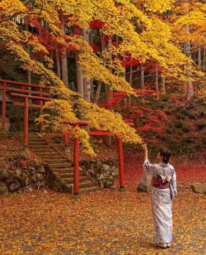 248631730_420633822765959_7571654143876361850_n