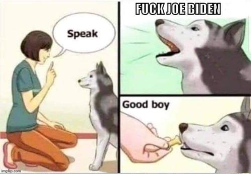 FB_IMG_1634768939998