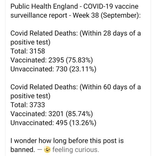 IMG_20211022_185841_837