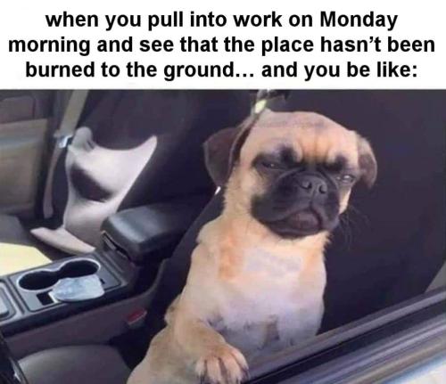 when you pull into work01