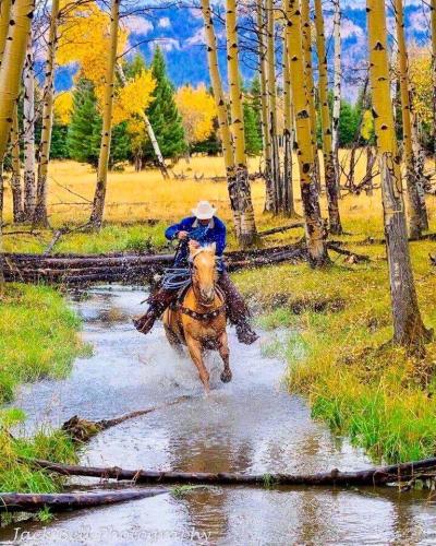 246253741_1430043897381240_7482374033181400536_n