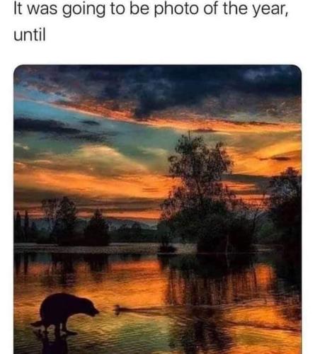 243424700_4750502515014335_5837517581268868032_n