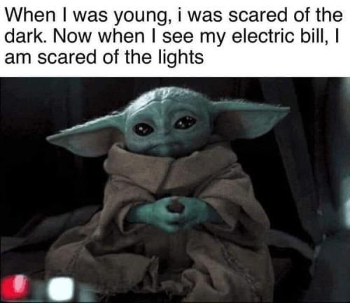 250150807_1028268944673694_518675273620116171_n