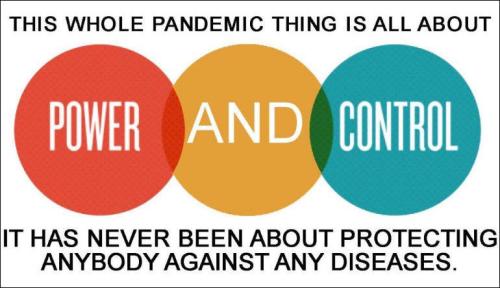plandemic15