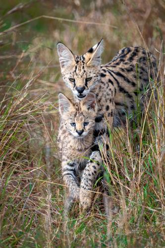 250978250_3024172104497360_245194210729223466_n