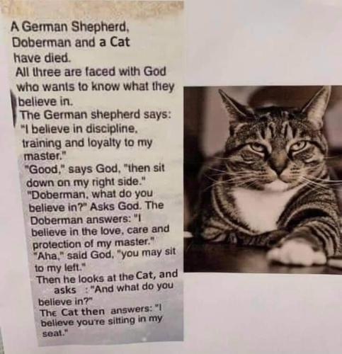 FB_IMG_1633315599448