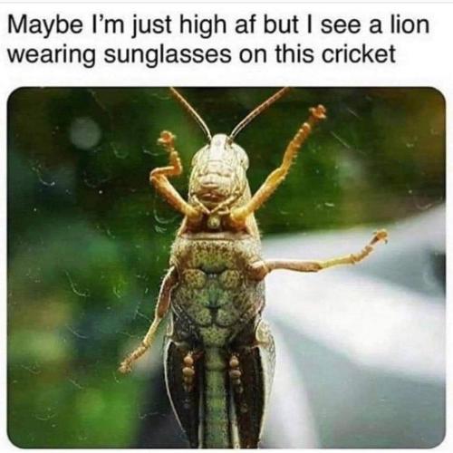 FB_IMG_1635228301361