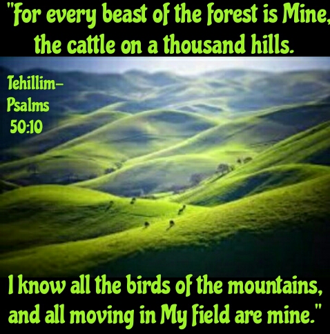 20:52:37 GMT-0800 (AKDT)