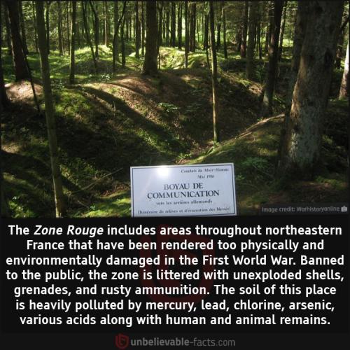 246710339_4364154940363321_5550421562377896667_n