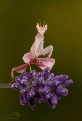 243709080_4478723012165107_5263932971503772546_n