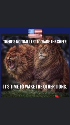 FB_IMG_1635620142221