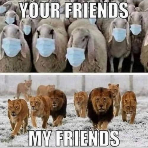 18:02:32 GMT-0400 (EDT)