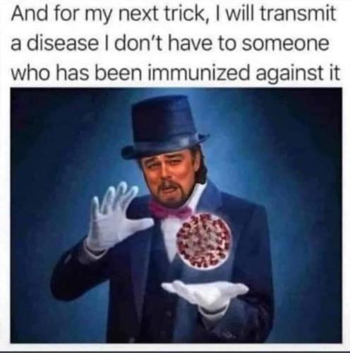 Screenshot_20211020-142016_Instagram