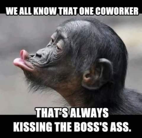 244745660_395141782231126_1892489211190942079_n