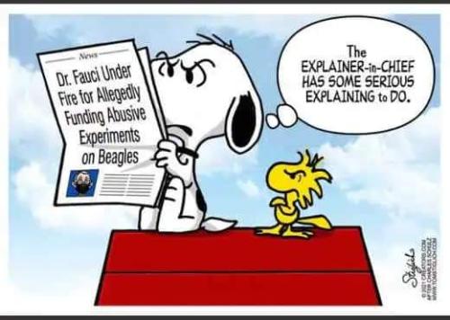 10:53:31 GMT-0500 (CDT)