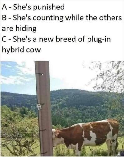 20:21:14 GMT-0400 (EDT)