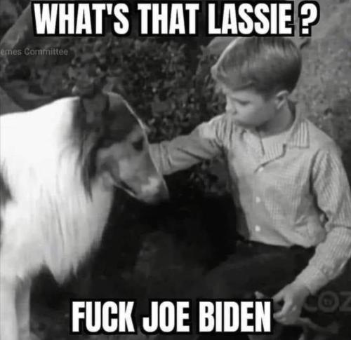 Screenshot_20211014-111351_Wimkin Uncensored