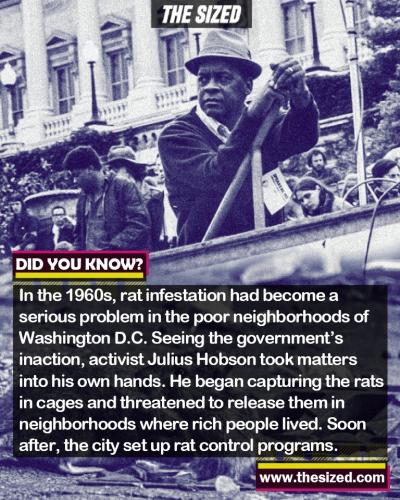 245070584_406568514242805_2385996892671943884_n