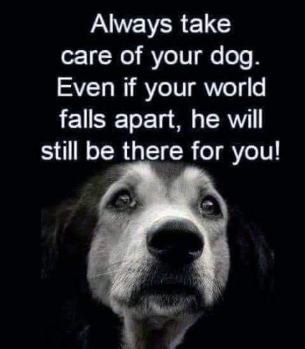 246019216_216595100565483_7523184317012965248_n