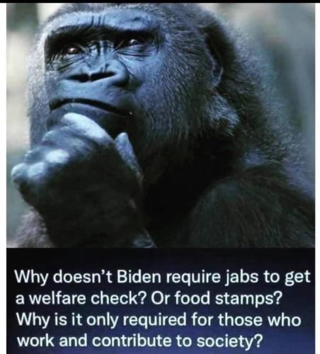 248430073_281167657213464_1877045998358644291_n