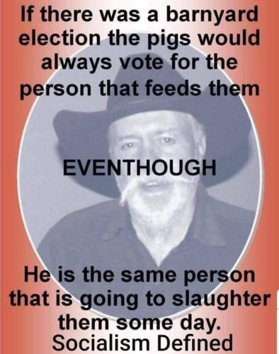 56927367_10215517315019605_8224141483054202880_n