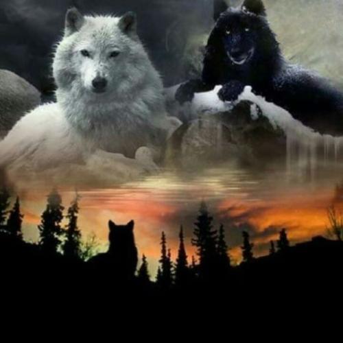 tumblr_21158de82cc8c0a7e9087f64f0d1ae4d_0671335c_540