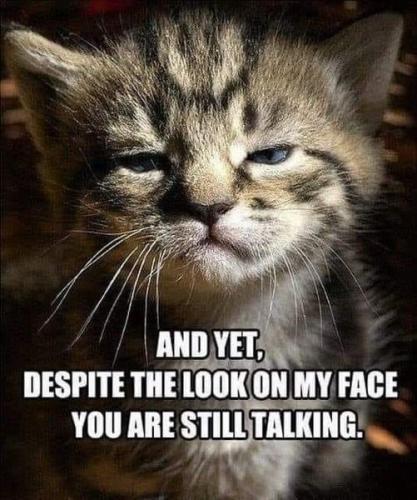 244442280_1073696276770781_4284446881427869240_n