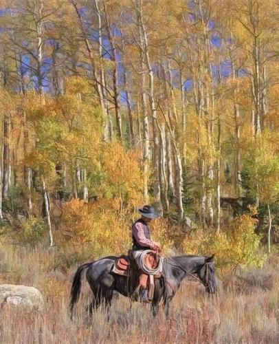 245956033_1428285440890419_3274693006243306456_n