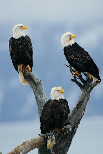 20:06:49 GMT-0500 (CDT)