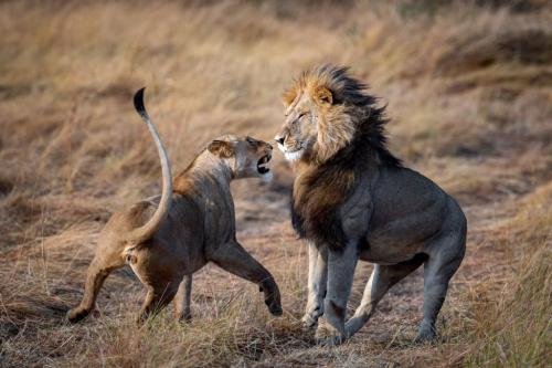 246005617_3013366595577911_7281313472080621191_n