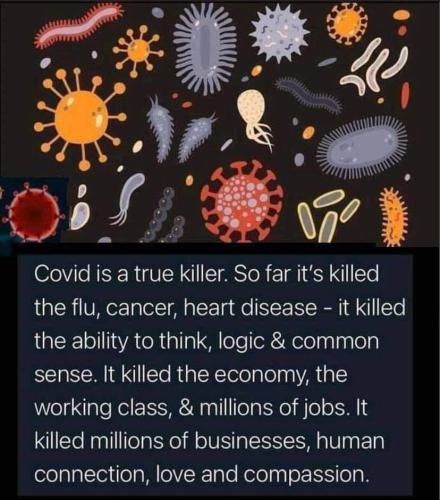 224290277_1522047358129934_8495090272723528576_n