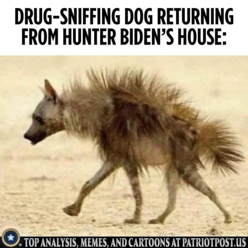 16:13:01 GMT-0500 (CDT)