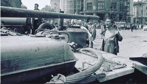 Screenshot_20211017-060956_DuckDuckGo