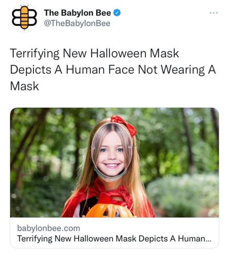 246134463_240817091417842_5196500264216490235_n