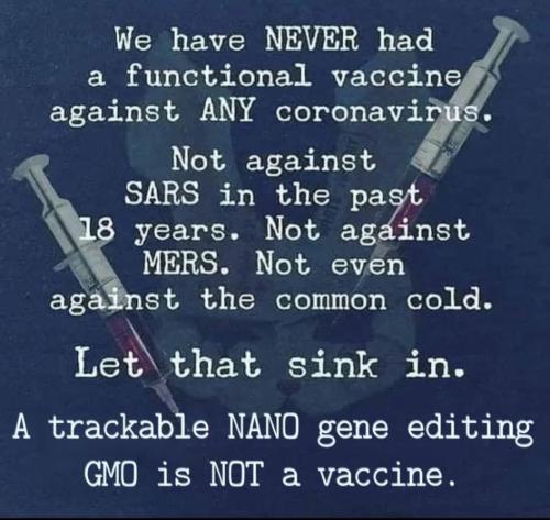 Screenshot_20211010-190049_Wimkin Uncensored