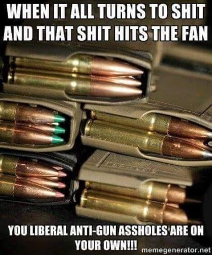 gun anti libs