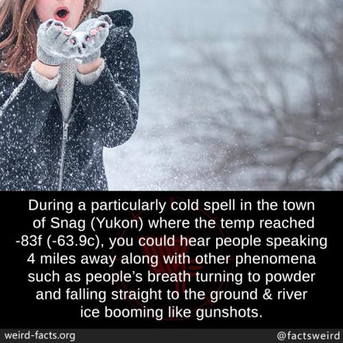 243454687_6945673098783655_651289808560030950_n