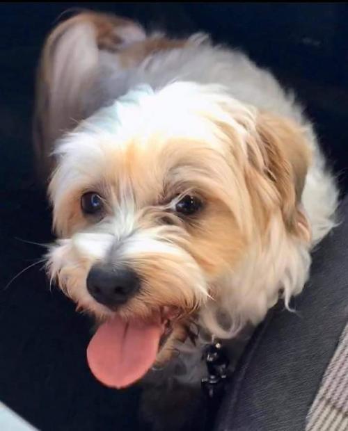 FB_IMG_1625371826163