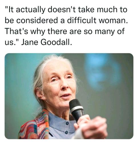 image_e451185e-f704-4cb2-af78-a093f66b2cb120211016_134124