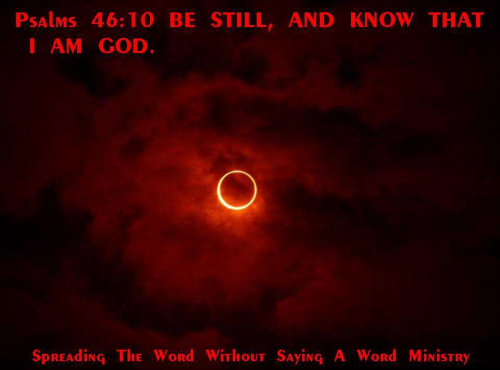 244576246_1404162566727685_8892084974127427017_n