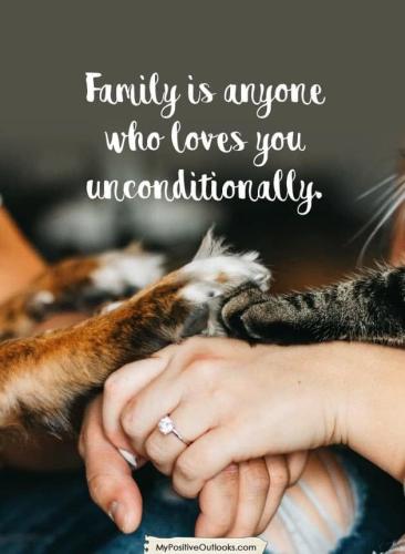 245603534_1018786045630250_3606183193630697469_n