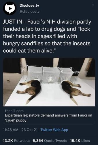 23:22:26 GMT-0400 (EDT)