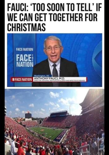 together_4_christmas_tea_leaves