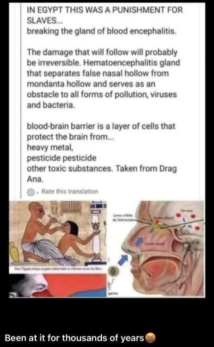 IMG_20211007_152011_292