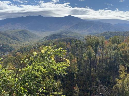 89E37495-B359-4104-A90D-2AA3922371F0